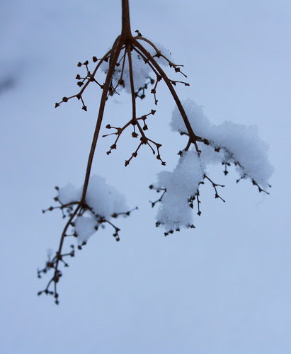 365. 19