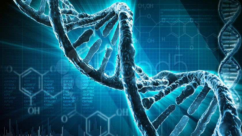 Microsoft compra material para almacenamiento ADN: millones de TB en un gramo Microsoft compra material para almacenamiento ADN: millones de TB en un gramo