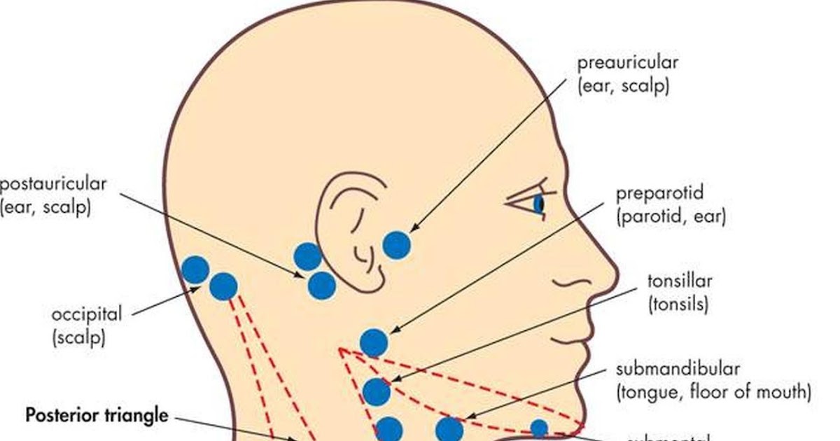 Swollen Posterior Cervical Lymph Nodes In Neck Slideshare