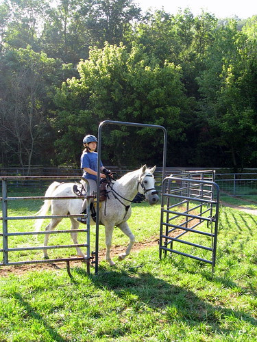 Finally, out of the round pen!!