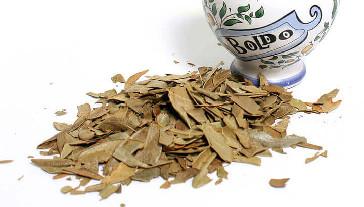 Boldo tea has many health benefits