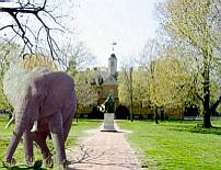 The Elephant at the College of William and Mary
