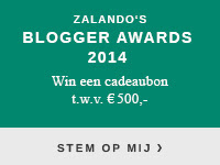 Zalando's Blogger Awards 2014
