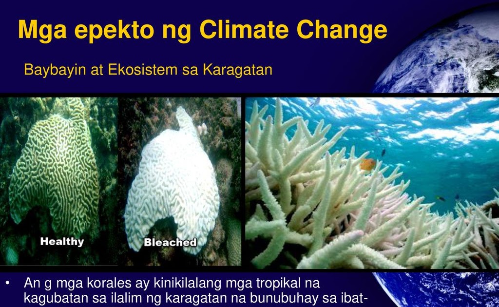 Ano Ang Climate Change Ano Ang Mga Dahilan Palatandaan At Epekto Nito