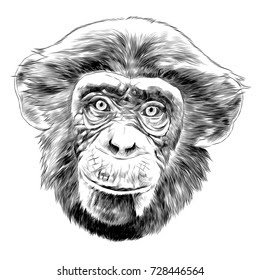 Newest For Sketch Chimpanzee Face Drawing | Pink Gun Club