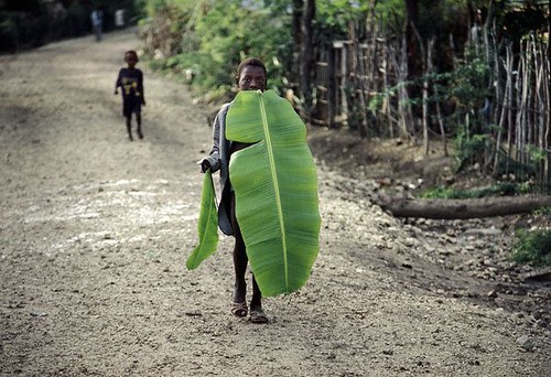 Man leaf
