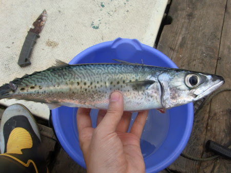 f:id:kkomiyama:20090922114518j:image f:id:kkomiyama:20090922114518j:image