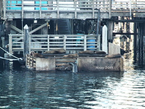 may 24-25 2011 140