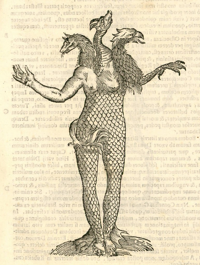 16th century woodcut of monster by Aldronvandi
