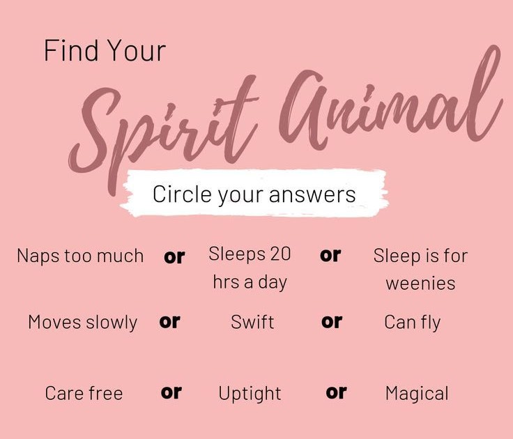 Animal Quiz Questions What Animal Are You - FANILAM