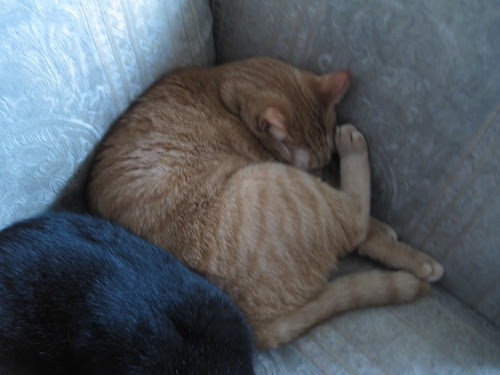Logan and Seymore