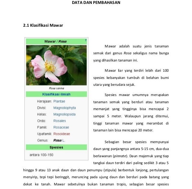 Teks Laporan Hasil Observasi Tumbuhan