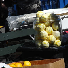 Oranges