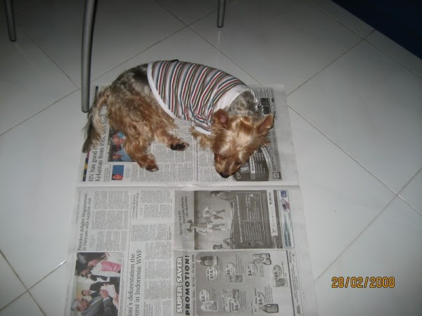 sleep-on-nwpp-01.jpg