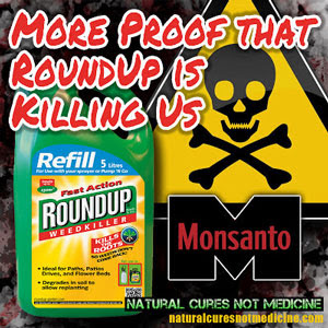 http://www.seattleorganicrestaurants.com/vegan-whole-food/images/popular-weedkiller-roundup-glyphosate-is-linked-to-fatal-kidney-disease-ckdu.jpg