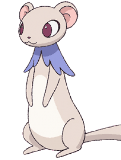 ベスト動物 アニメ キャラ イラスト画像