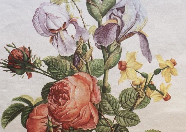 watercolor_iris_detail