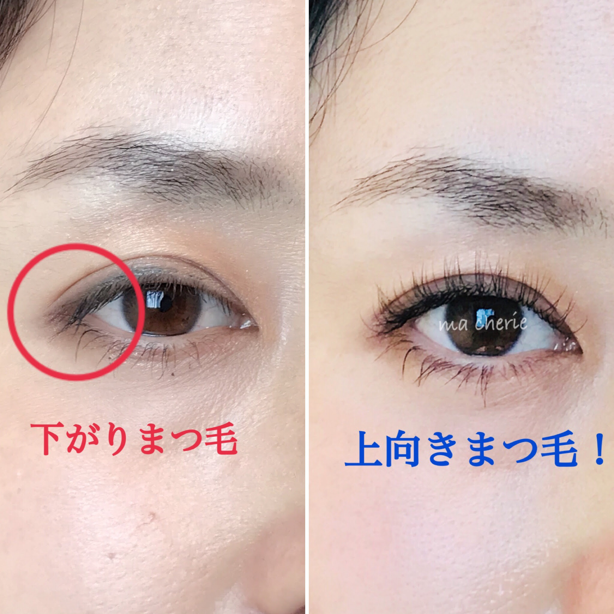 √無料でダウンロード！ まつ毛 多い 346434まつ毛 多い 基準