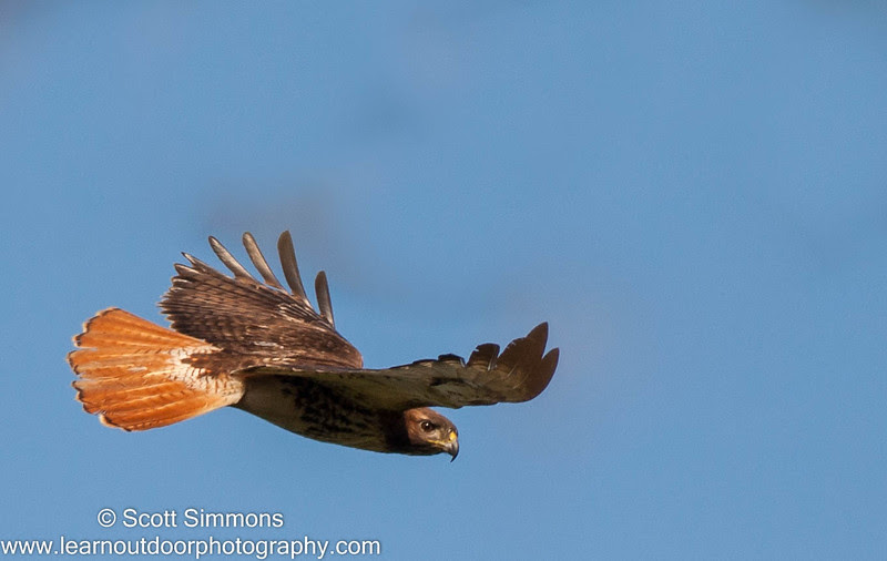 Photo & Video Sharing by SmugMug Photo & Video Sharing by SmugMug