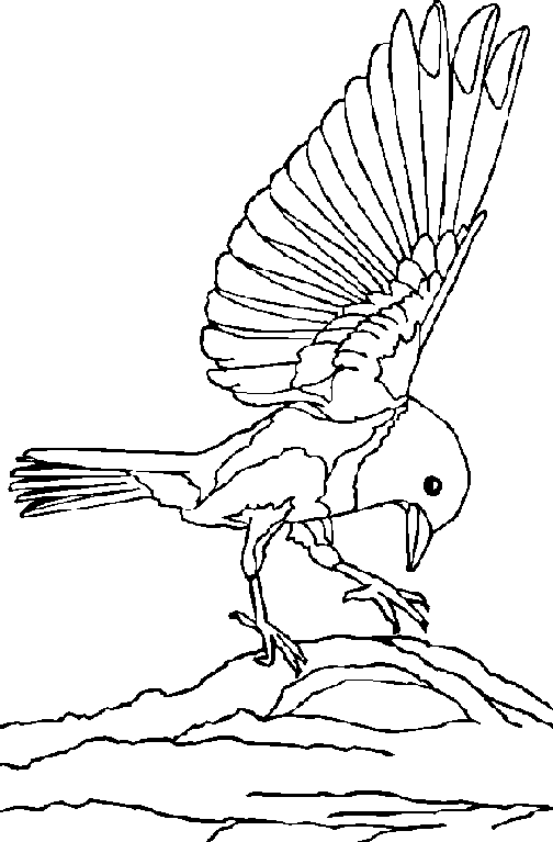 Lovely bluebird coloring page for kids to print and paint.