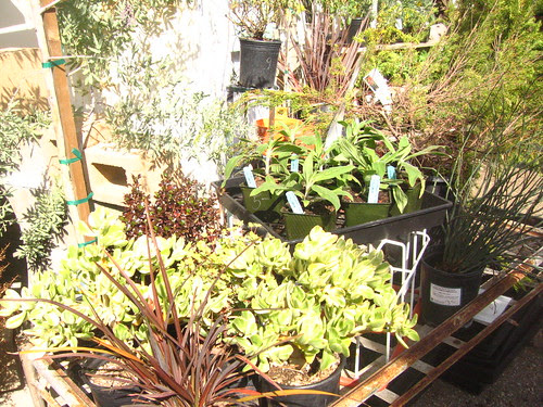 Spring display