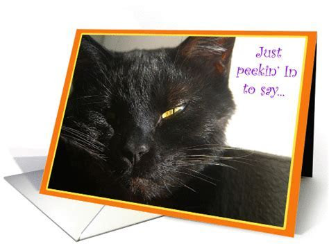 Black Cat Happy Birthday card (234416) Black Cat Happy Birthday card (234416)