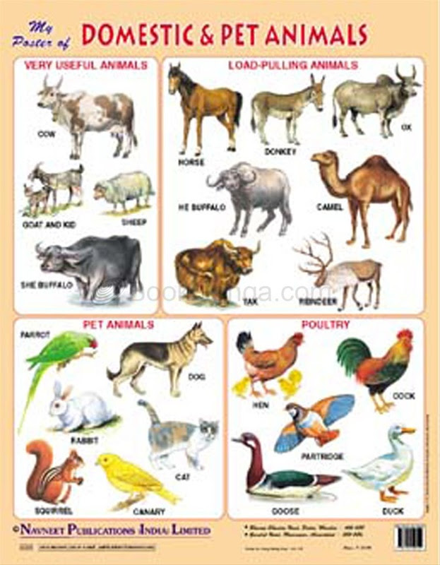 Pet Animals Name In Marathi Knowing The Different Names Of Animal