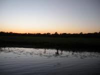 Free Image Hosting at www.ImageShack.us