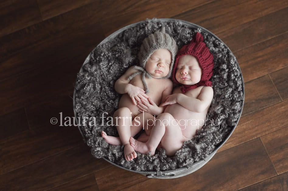 boise newborn photographer