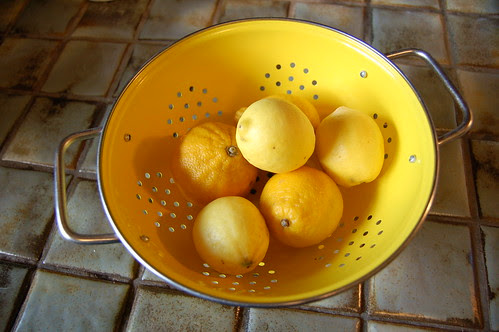 Bowl o' Exotic Citrus