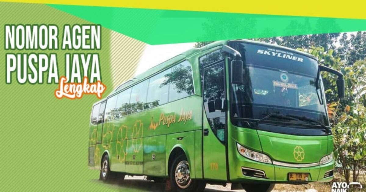 Lowongan Kerja Bus Rosalia Indah / Jadwal Bus Harapan Baru