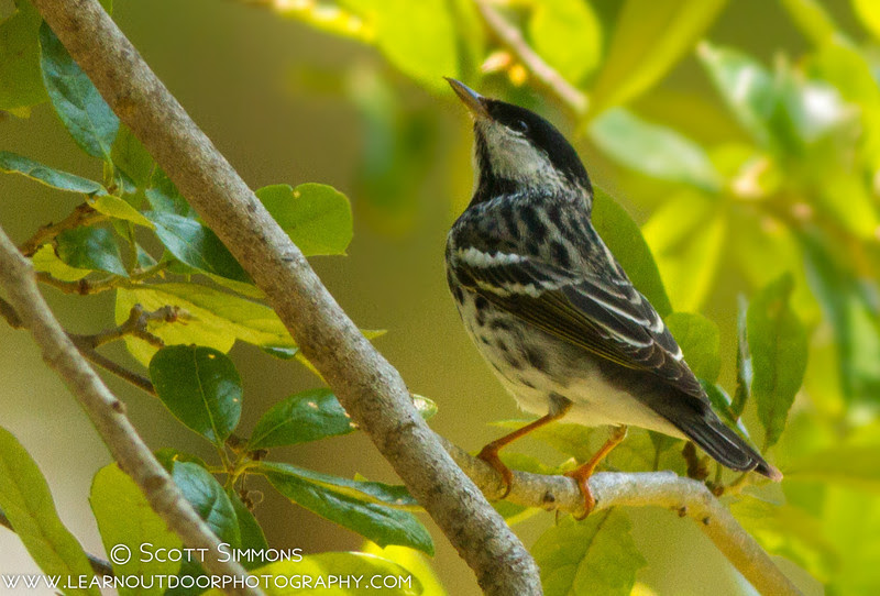 Photo & Video Sharing by SmugMug Photo & Video Sharing by SmugMug