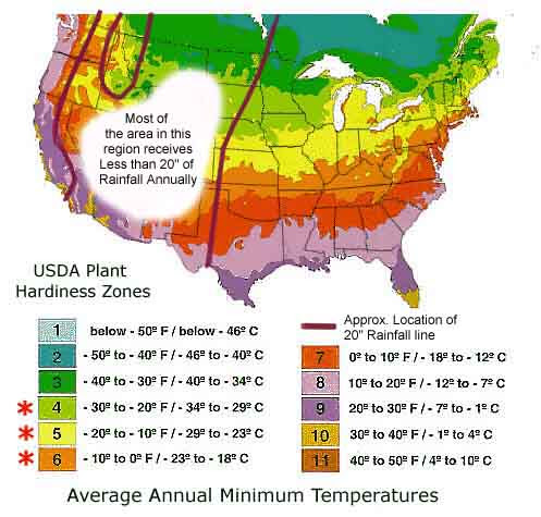 What Planting Zone Is Ct