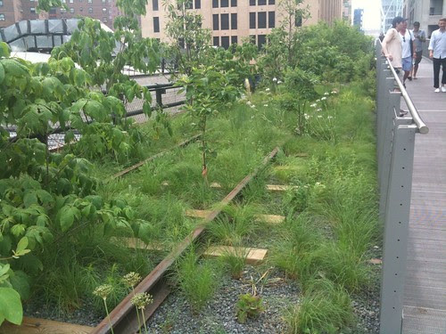 The old train tracks