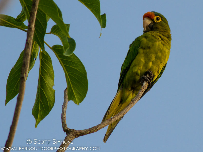 Photo & Video Sharing by SmugMug Photo & Video Sharing by SmugMug