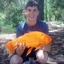http://news.bbcimg.co.uk/media/images/48371000/gif/_48371716_goldfish.gif