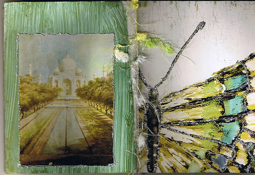 Front & back cover