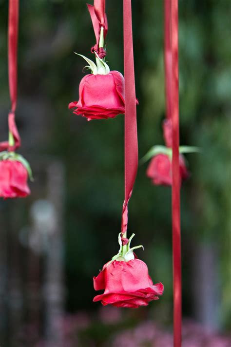 Best 25 Red rose wedding ideas on Pinterest Red wedding Best 25 Red rose wedding ideas on Pinterest Red wedding