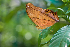 IMG_0143 copy