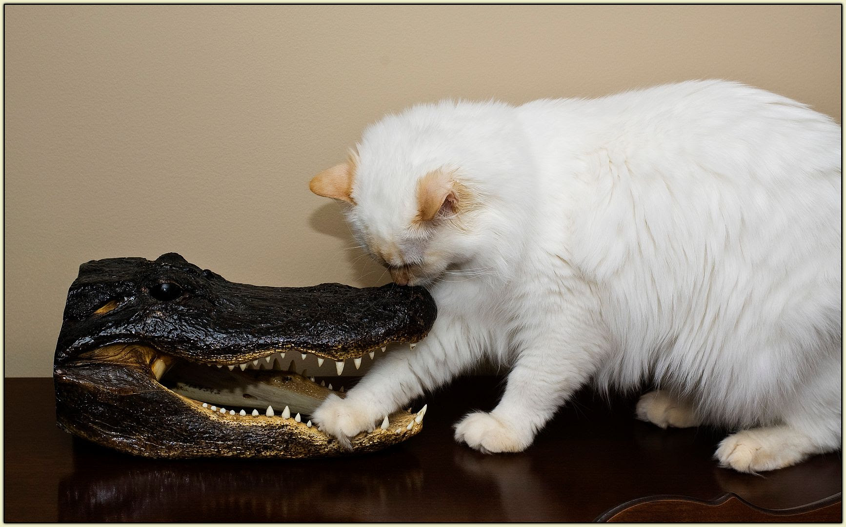 Levon and the Gator (2)