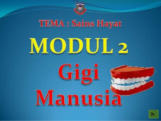 Gigi manusia Gigi manusia