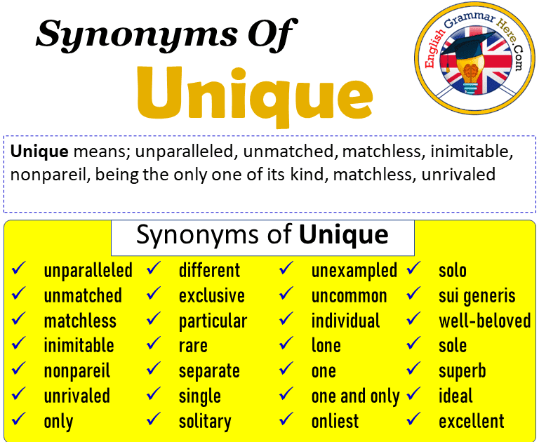 life-experience-meaning-synonyms-meanoin