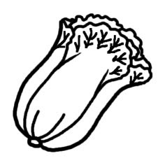 美しい花の画像 上白菜 イラスト 白黒