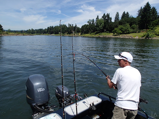 Sturgeon Fishing on the Willamette River | Loomis Adventures | Camping,  Hiking, Fishing, Mountaineering, Hunting, & Other Outdoor Adventures