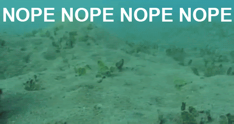 http://i.blogs.es/cf4889/nope/650_1200.gif