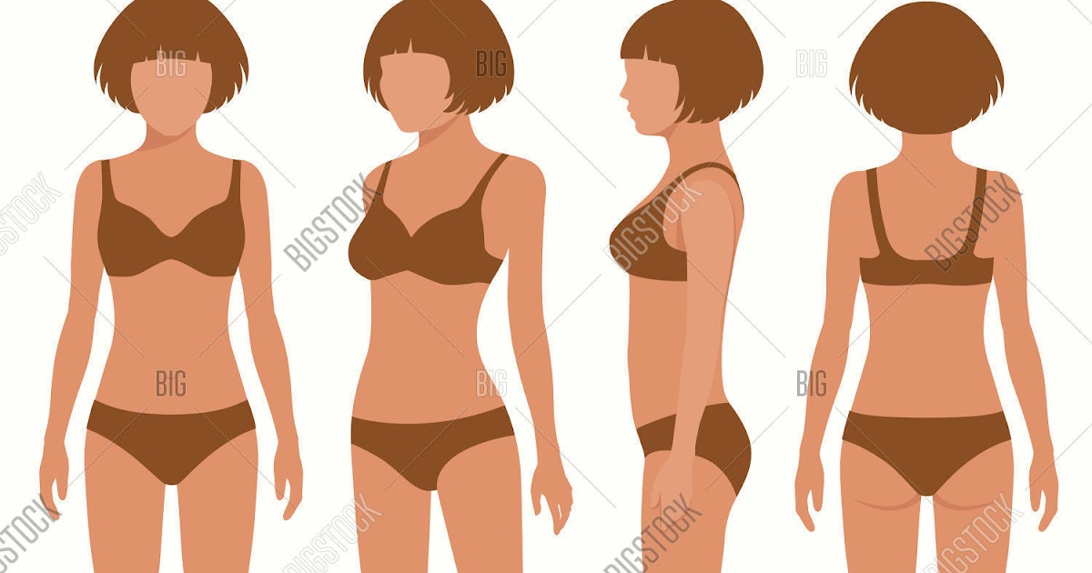 Anatomy Of Female Human Body From The Back / Surface Anatomy Wikipedia