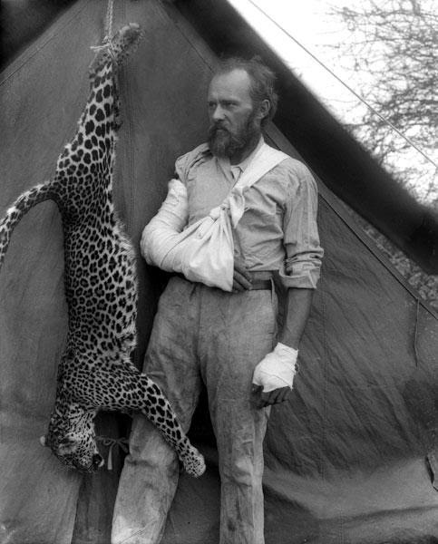 During an expedition to Africa Ackley came across a wild leopard. Leopard attacked the man. Ackley same reason did not shoot him, although he had a rifle with him was. It seemed to end, but Ackley kept his head: his left hand he grabbed a leopard by the throat and shoved to the right in the mouth. Ackley, ignoring the pain, pushed his hand deeper and deeper into the throat of the beast, until he began to choke, and in the end he managed to win a predator.
