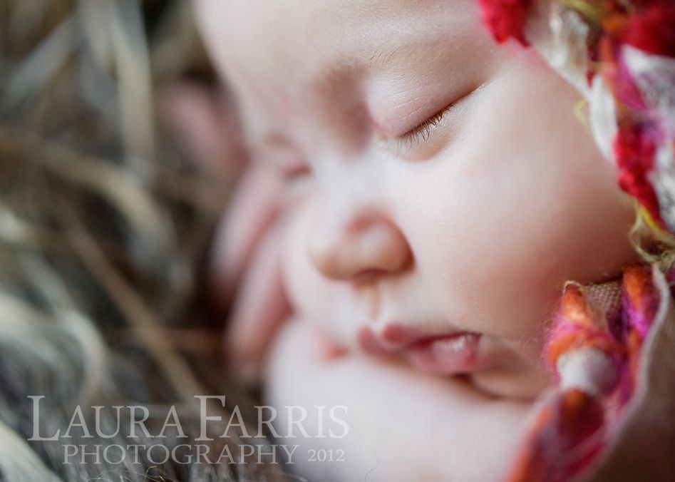 boise newborn baby photographer