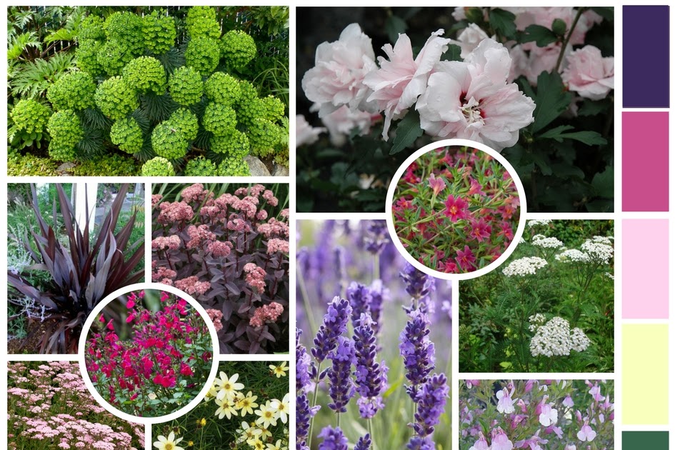 Bay Area Flowers To Plant Slideshow The 13 Best Calif
