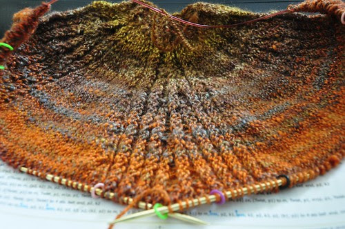 test knit - Larix shawl